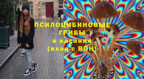 мяу мяу мука Новокубанск