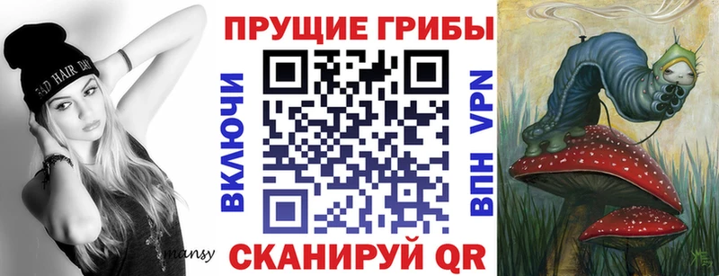 Купить где  Алушта  Галлюциногенные грибы Psilocybe 