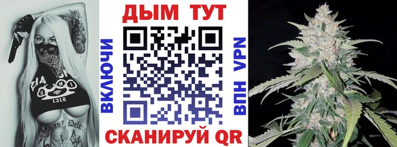 Марихуана план  Купить где  Алушта 